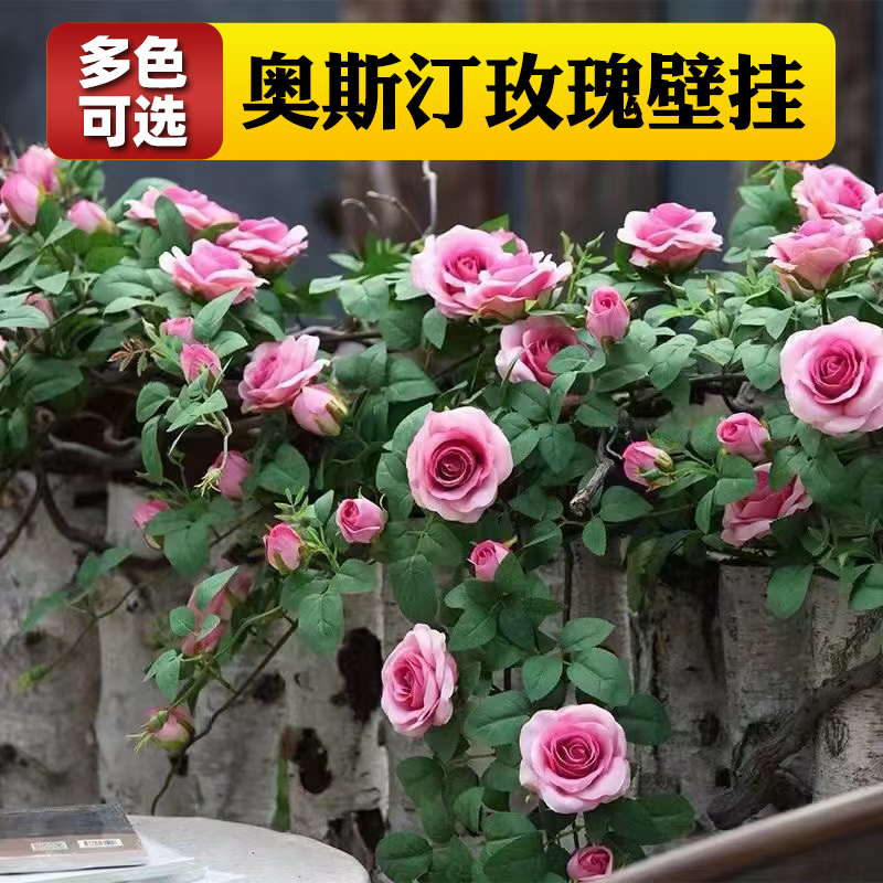 仿真玫瑰花假花空调管道装饰花藤条遮挡塑料藤蔓植物摆设吊顶墙面