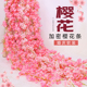 仿真樱花花藤空调管道遮挡房顶吊顶室内装 饰塑料花条藤条缠绕垂吊