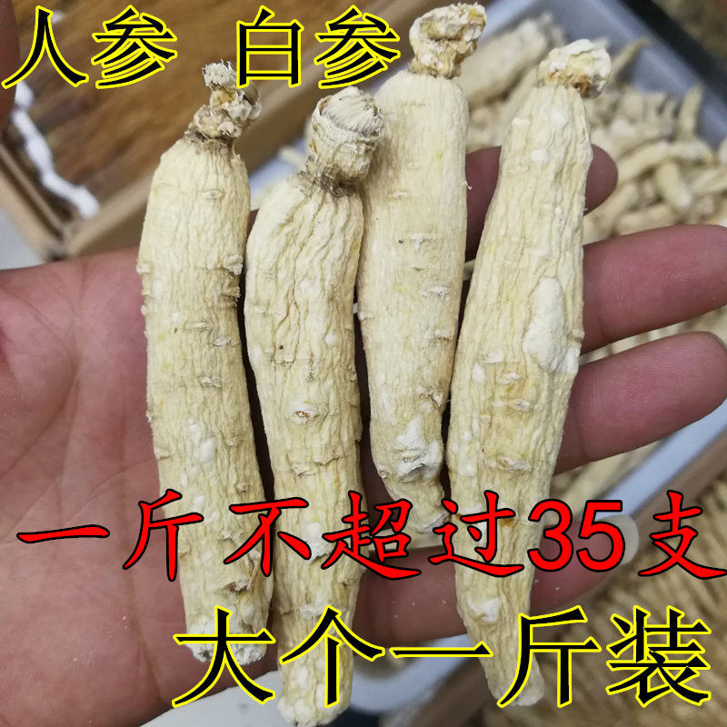 人参生晒参长白山白参棒无须大个