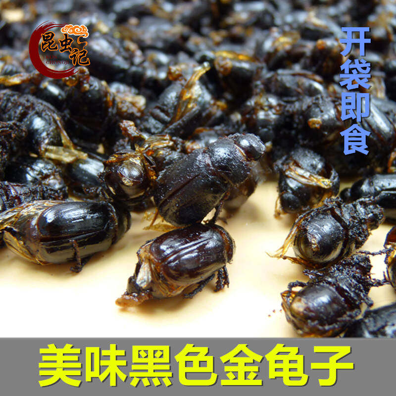 开袋即食黑色金龟子美味食用昆虫记昆虫宴瞎碰瞎撞创闯子