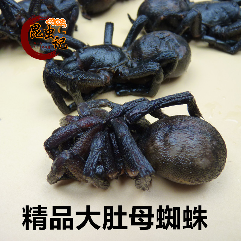 生猛冷冻蜘蛛昆虫记好的