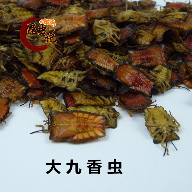 新鲜九香虫冷冻大九香虫放屁虫打屁虫臭板虫屁巴虫兜蝽营养昆虫