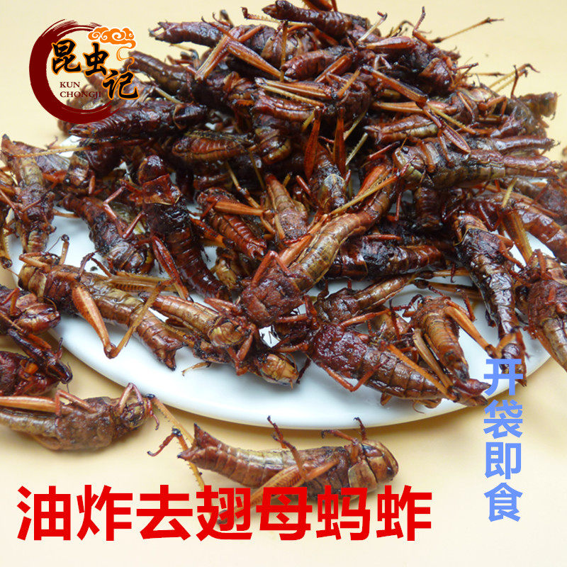 油炸蚂蚱带籽摘翅膀全母东亚飞蝗蚂蚱蝗虫蚱蜢食用昆虫记开袋即食
