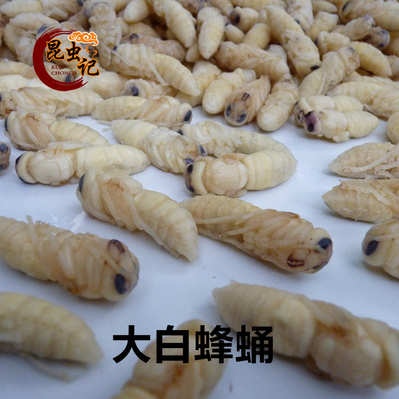 新鲜冷冻大白蜂蛹地蜂土蜂胡蜂蛹大个体嫩蜂蛹大白蜂冷冻发货