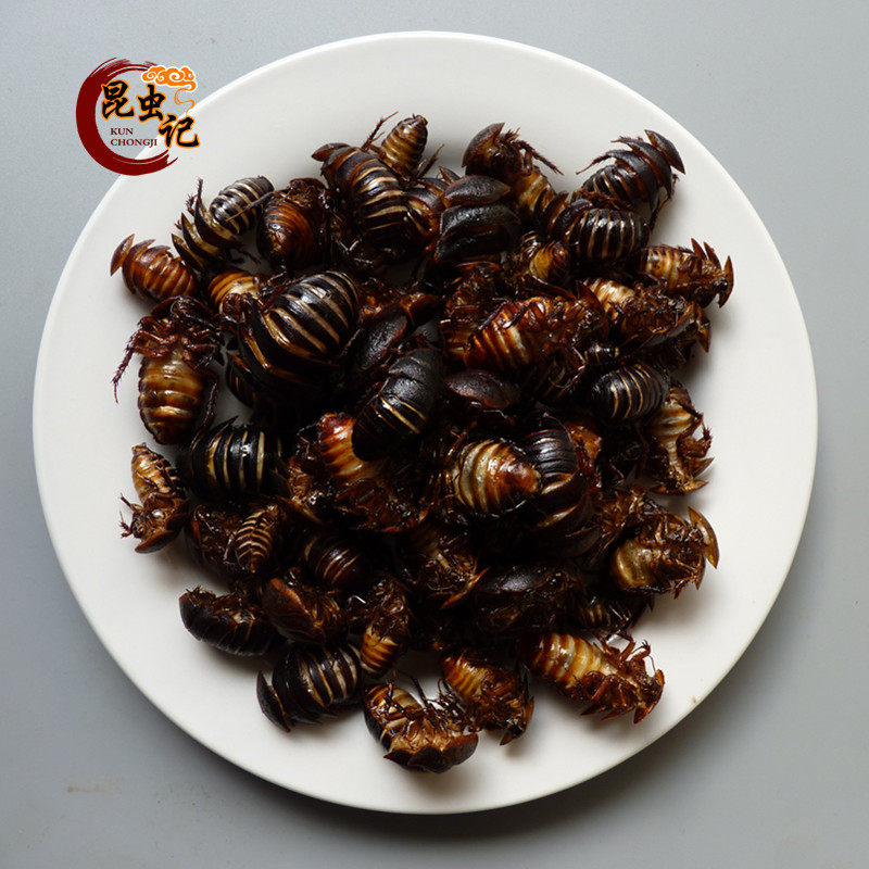 土元食用昆虫虫子土鳖虫土鳖子新鲜地鳖虫