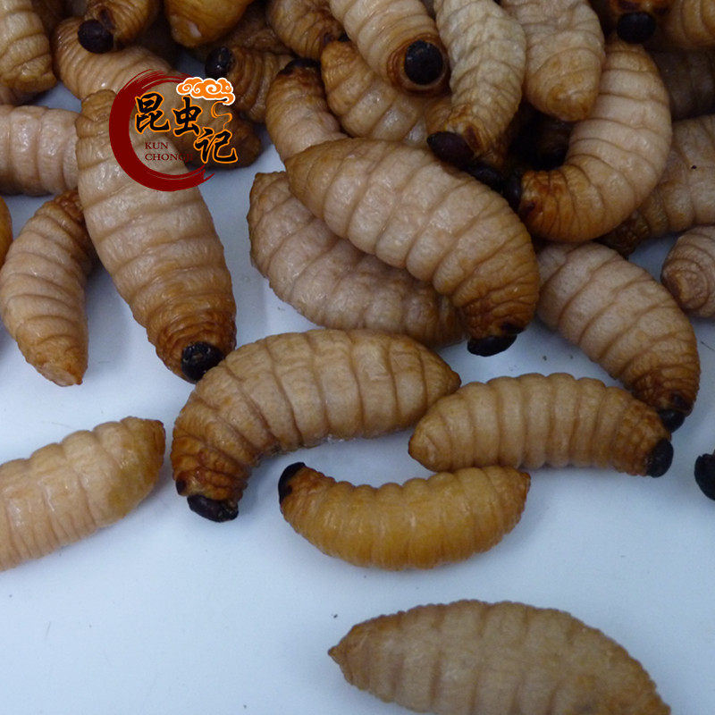 竹笋虫竹蛹新鲜活竹笋虫 大竹蛆笋蛆笋子虫生鲜冷冻运输