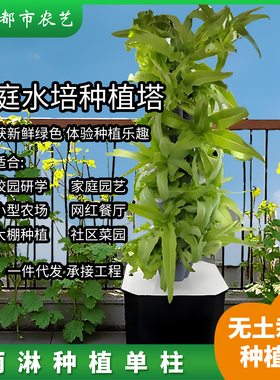 宸华无土栽培水培种植立柱垂直种植系统设备阳台种菜养花补光灯