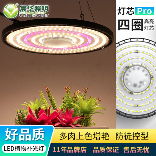 大棚育苗植物灯宸华照明节能省电