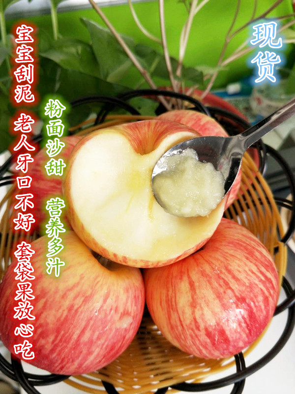 现摘粉面沙苹果宝宝刮泥婴儿老人吃新鲜秦阳嘎啦金世纪5斤包邮
