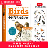 中国鸟类观察手册 中国鸟类行为动物科普图鉴 珍惜森林草原野鸟形态鸟类图鉴野生动物百科观鸟手册鸟类大全