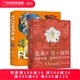 两册套装 花朵与探险:玛丽安娜·诺斯 世界 花:探索盛开 艺术书籍画册 艺术世界