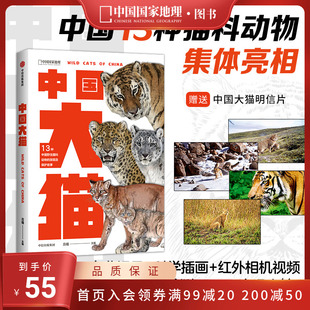 社赠明信片 猫图鉴猫百科全书猫科生物图鉴猫科动物图鉴中信出版 中国大猫 吕植著中国国家地理科普读物