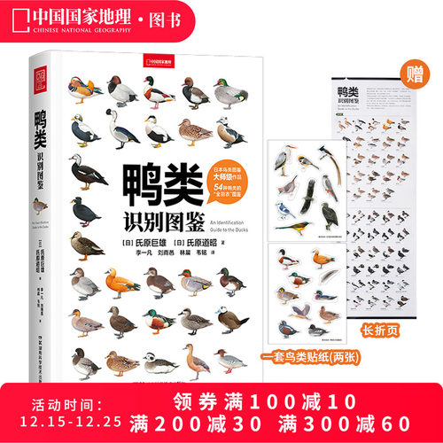 鸭类识别图鉴中国国家地理鸭宝书