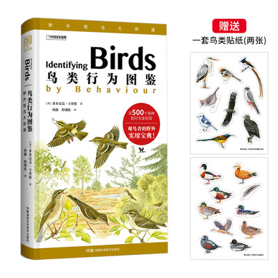 鸟类行为图鉴鸟类野外手册
