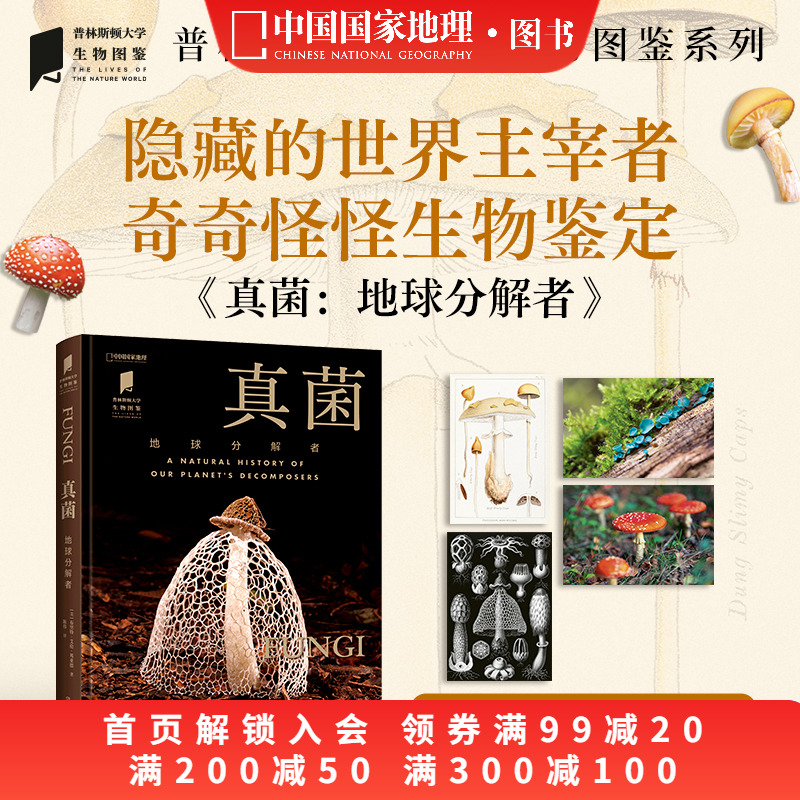 真菌：地球分解者中国国家地理