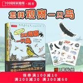 怎样观察一只鸟 克莱尔·沃克·莱斯利新作彩铅画鸟类观察科普读物