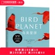 大开本摄影画册 中国国家地理蒂姆·拉曼国际野生生物摄影年赛获奖者作品集 鸟类星球 鸟类摄影画册