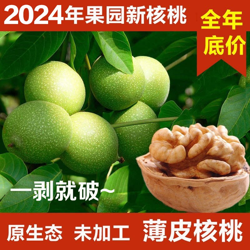 薄皮核桃阿克苏核桃特级大核桃新纸皮/薄皮核桃