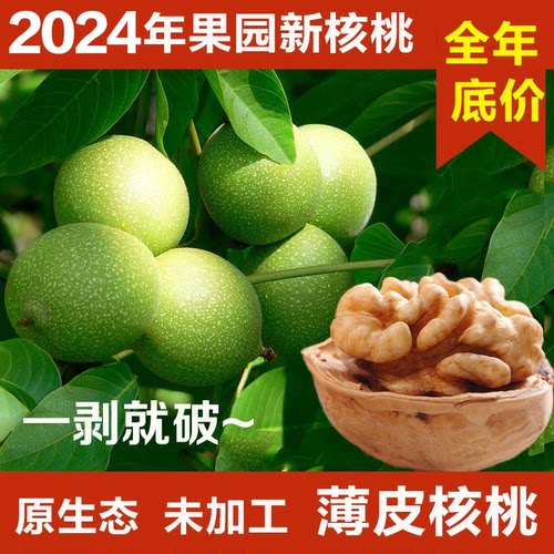 薄皮核桃阿克苏核桃特级大核桃新疆薄皮核桃原味孕妇薄皮核桃500g - 封面