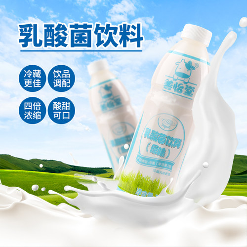 鲜活原味浓缩奶茶店乳酸菌饮品