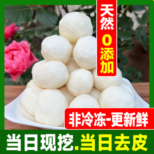 当季新鲜现挖去皮脱皮牛奶小芋头