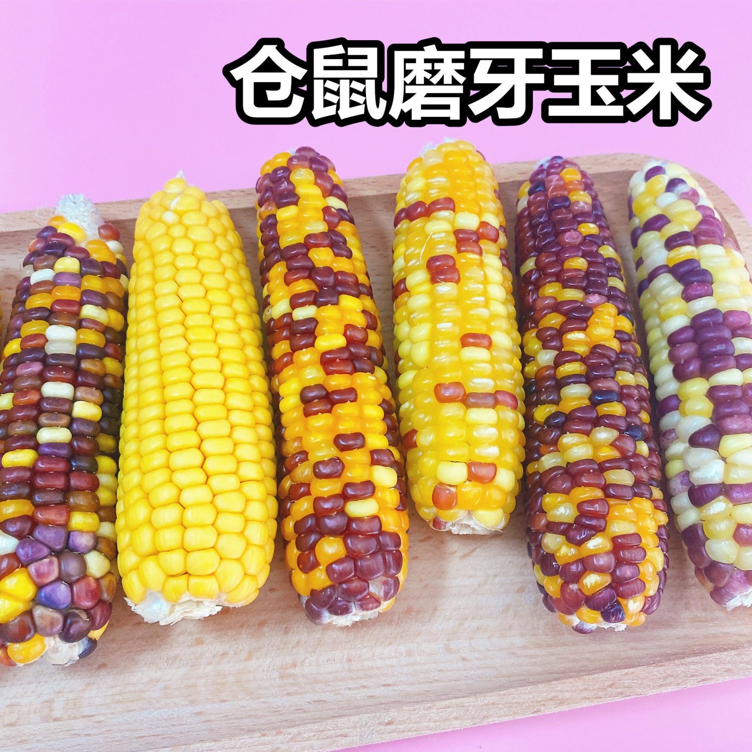 仓鼠零食磨牙玉米棒磨牙棒颗粒饱满洁齿粮食金丝熊花枝鼠兔子专用