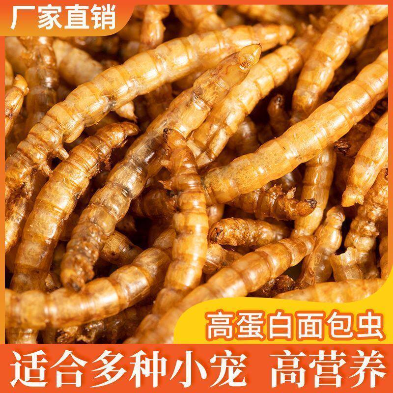 【高蛋白零食】仓鼠零食面包虫干仓鼠粮食海鲜粮金丝熊粮食刺猬鱼