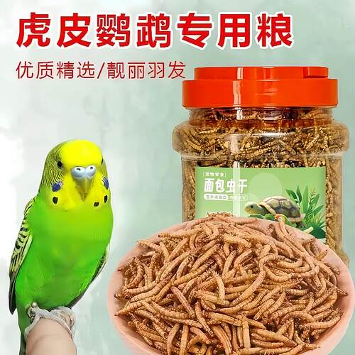 新鲜烘烤鹦鹉仓鼠面包虫干鸟食饲料小鸡八哥专用零食鸟用粮用品