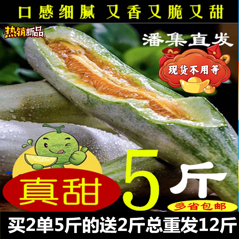 潘集酥瓜羊角蜜甜瓜羊角酥香瓜淮南特产新鲜孕妇水果多省包邮