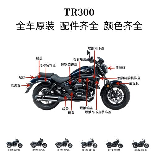 TR300外壳后视镜挡泥板大灯