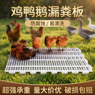 鸡用漏粪板养鸡用脚垫鸡笼家禽鸭鹅鸡鸽子漏屎地板鸡舍鸡粪漏粪网