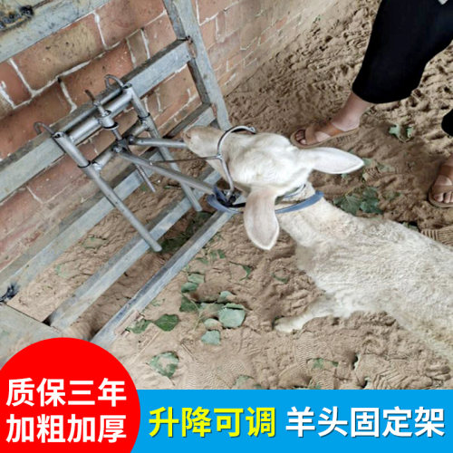 绵羊剪羊毛架子羊用品大全固定架