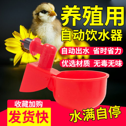 鸡鸭鹌鹑喂水器家禽喂鸡鸽子水槽