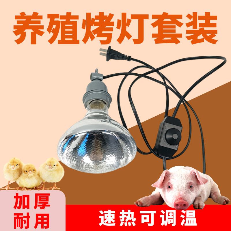 养殖保温灯小鸡育雏专用取暖灯带线套装养殖场猪场加热灯烤灯灯罩,畜牧/养殖物资,养殖保温灯,淘宝优惠券,粉丝福利购,淘宝优惠卷