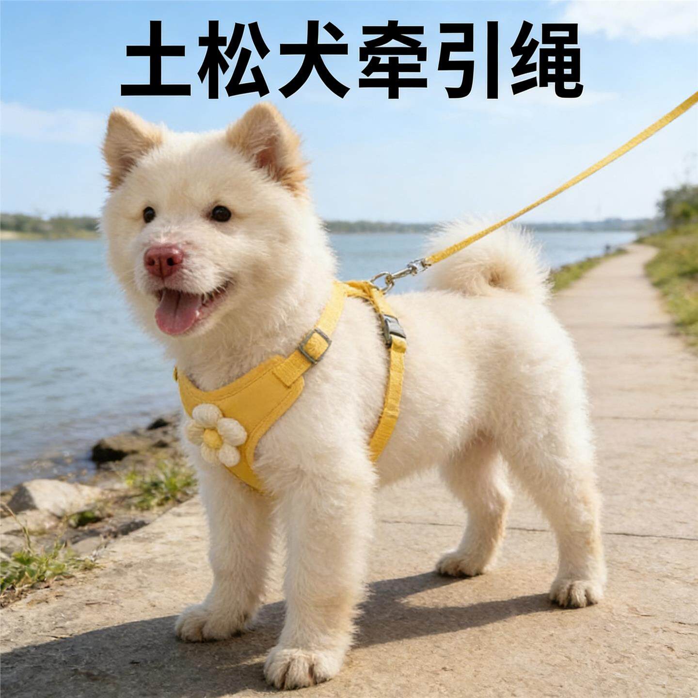土松犬外出防咬防爆冲背心式牵引绳中型犬专用小狗胸背宠物用品