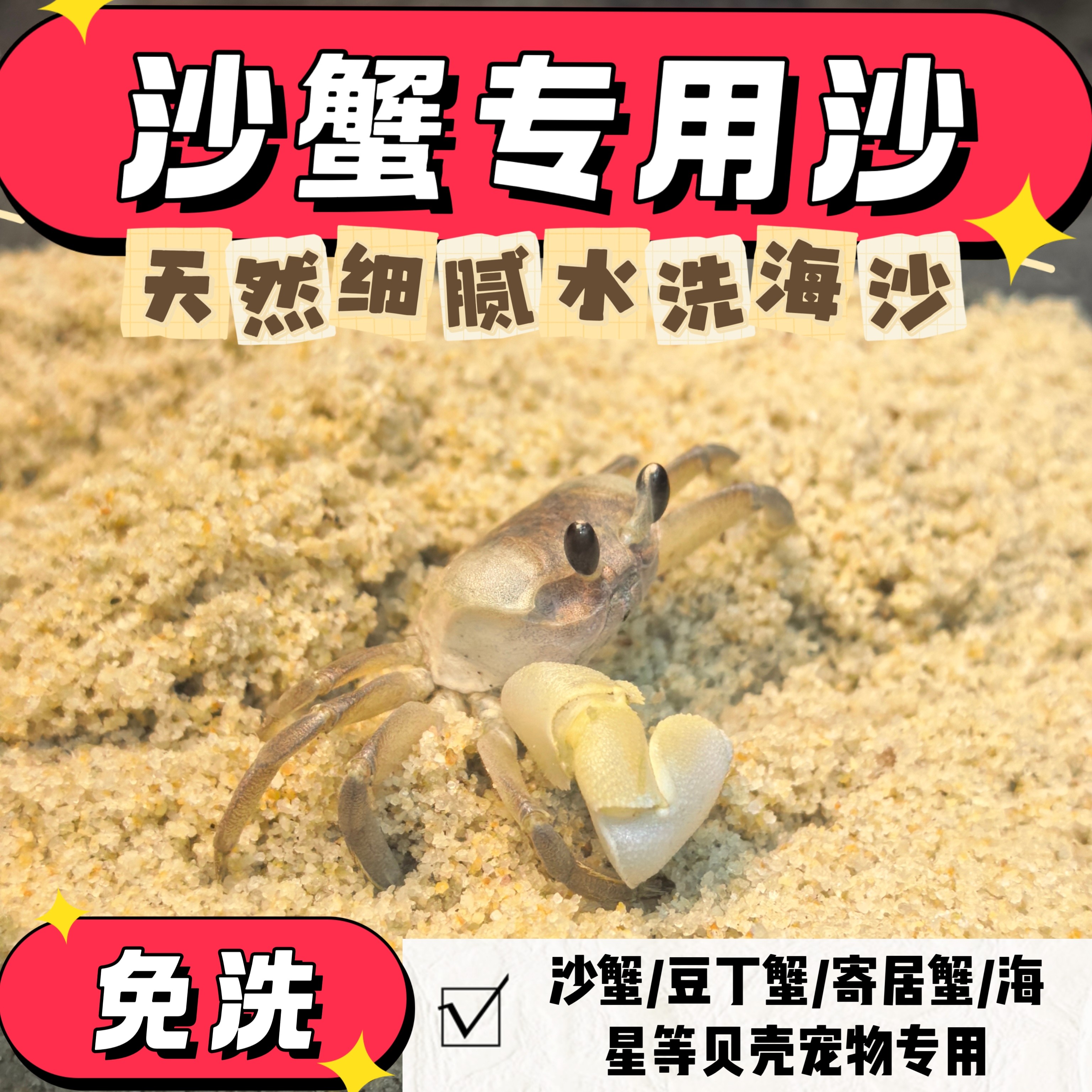 沙蟹专用沙天然免洗海沙豆丁寄居蟹海星贝壳宠物底沙宠物箱造景沙