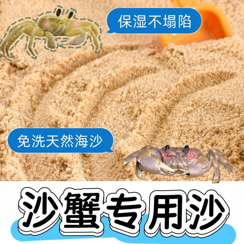 沙蟹专用沙天然免洗海沙螃蟹乌龟寄居蟹鱼缸造景沙宠物底砂相守蟹