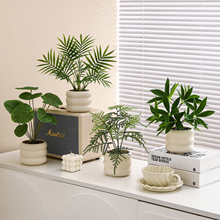 仿真绿植假花仿真花桌面小盆栽植物装饰摆件书柜仿生绿植拍摄道具