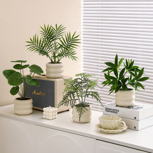 家居仿真绿植假盆栽桌面拍摄道具