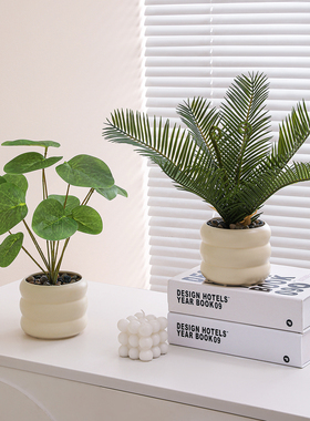 彷真假绿植小型盆栽摆件客厅玄关电视柜茶几餐桌摆设办公桌面装饰