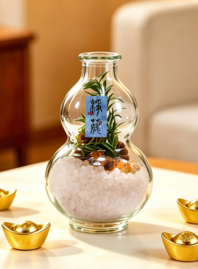 乔迁新居净宅旺家肉桂粗盐葫芦瓶