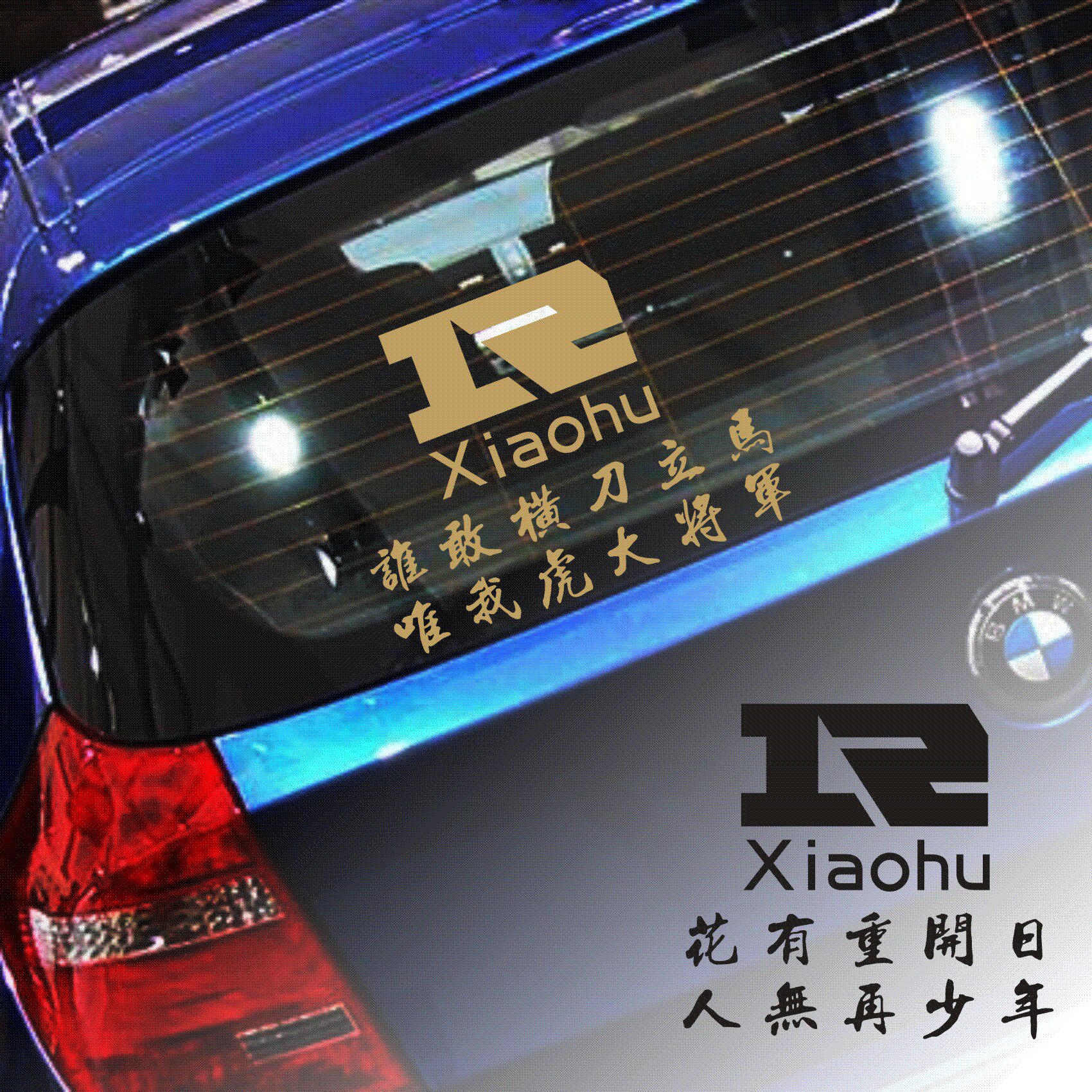 rng小虎李元浩退役纪念车贴谁敢横刀立马唯我虎大将军防水贴纸