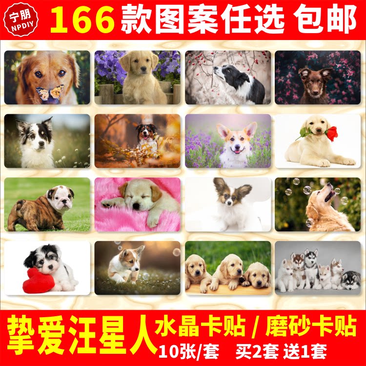 挚爱汪星人水晶卡贴纸磨砂公交交通饭卡学生卡贴