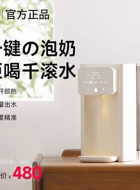 日本正负零即热式饮水机桌面台式家用恒温热水壶电热烧水壶饮水器