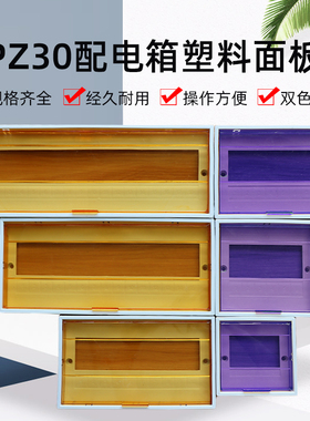 PZ30塑料面板盖板6/8/10/12/15/18/20/22/24回路照明箱配电箱盖子
