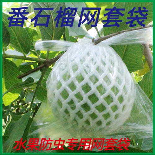番石榴套袋网袋芭乐防虫网袋专用一体泡沫包装袋石榴袋水果网套