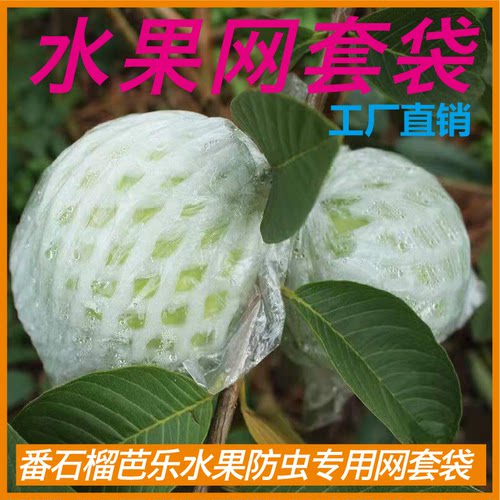 番石榴套袋网袋芭乐防虫网袋