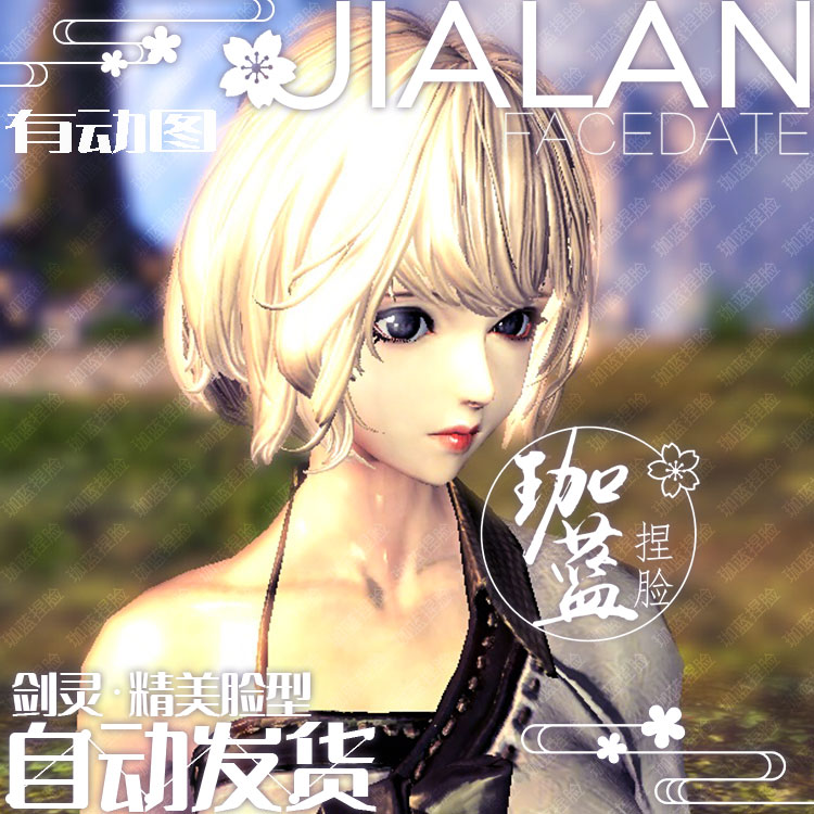【珈蓝】剑灵捏脸 人女脸型数据 国服韩服国际服BNS私服可用 鸿鹄