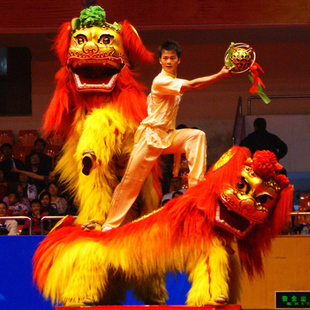 新款舞狮道具整套衣服正宗北狮舞狮头醒狮狮子头舞龙舞狮道具服装