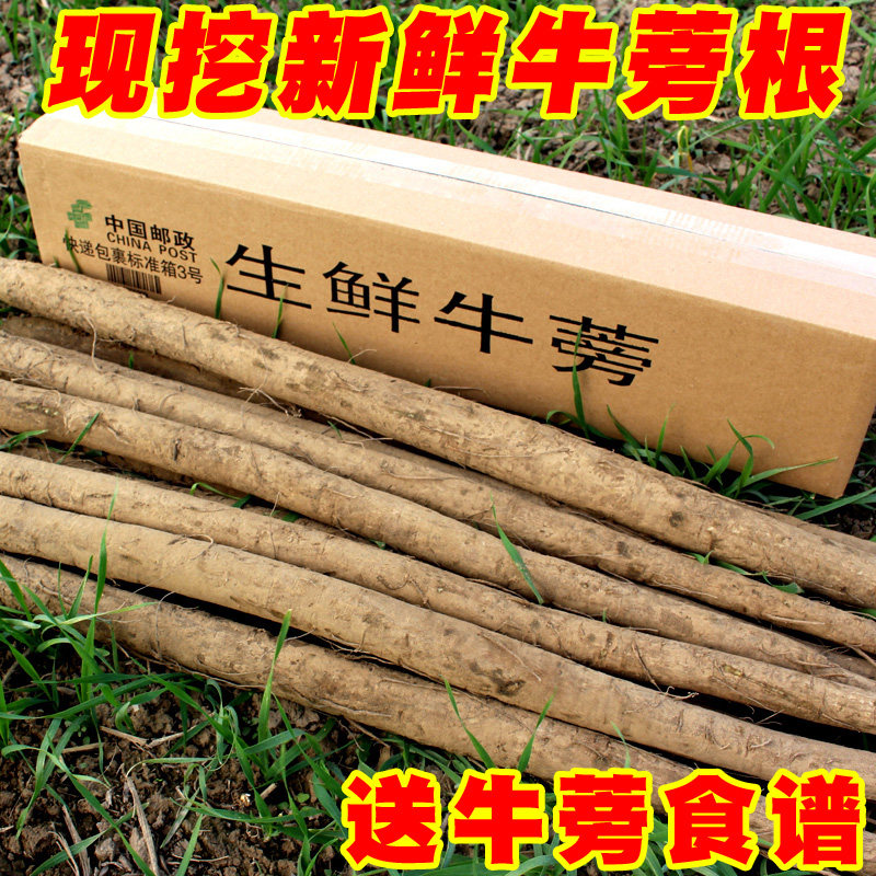 新鲜黄皮牛蒡根正品黑皮牛蒡旁磅榜农家自种蔬菜榨汁炒菜炖菜煲汤